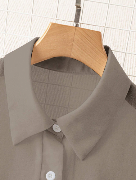 AQ Transparent Plain Collared Shirt – Women’s Fall Wear 🍂