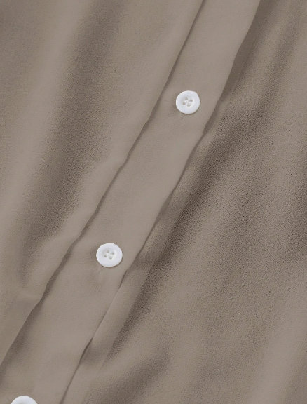 AQ Transparent Plain Collared Shirt – Women’s Fall Wear 🍂