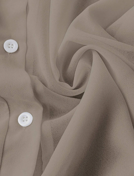 AQ Transparent Plain Collared Shirt – Women’s Fall Wear 🍂
