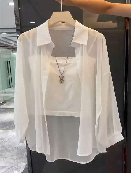 AQ Transparent Plain Collared Shirt – Women’s Fall Wear 🍂